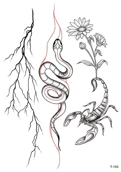 Змея, молния, скорпион