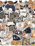 Котики мемные