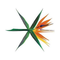 EXO - THE WAR (4TH ALBUM)