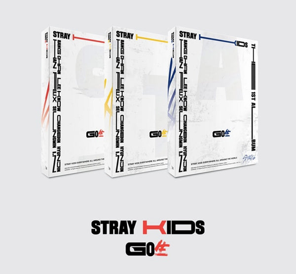 STRAY KIDS - VOL.1 [GO生]