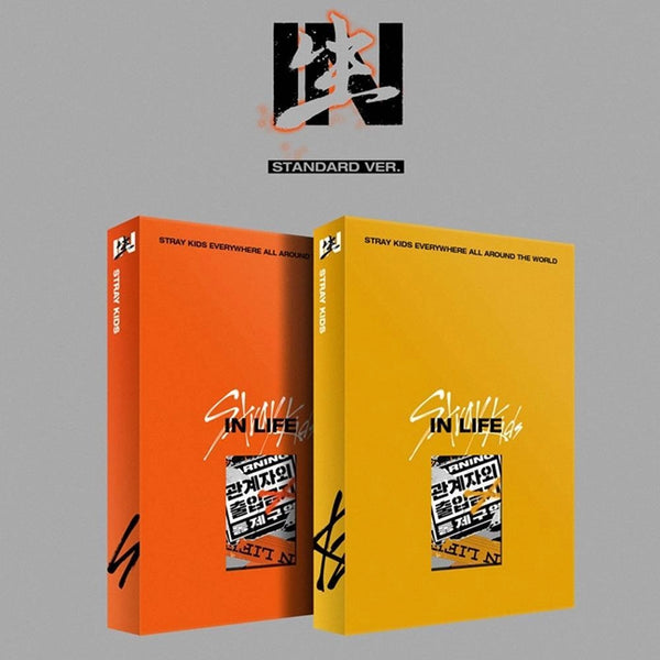 STRAY KIDS - VOL.1 REPACKAGE IN LIFE