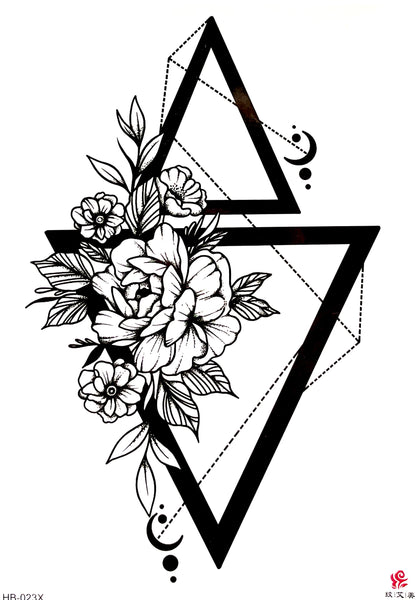 Пион в геометрии